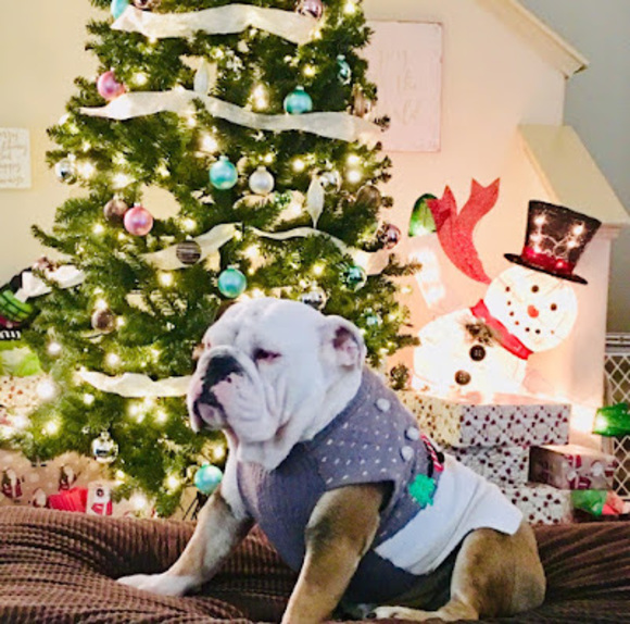 Meet your Posher, Yesenia - Picture 1 of 1